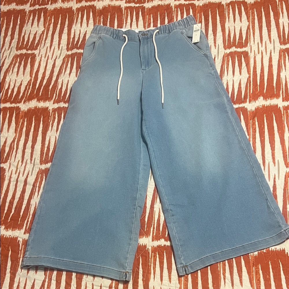 Anthropologie Light Blue Wide-Leg Capris